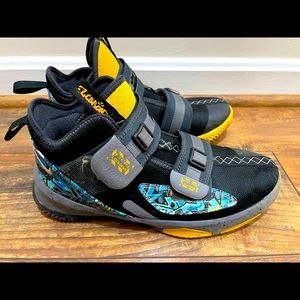 Nike Lebrons